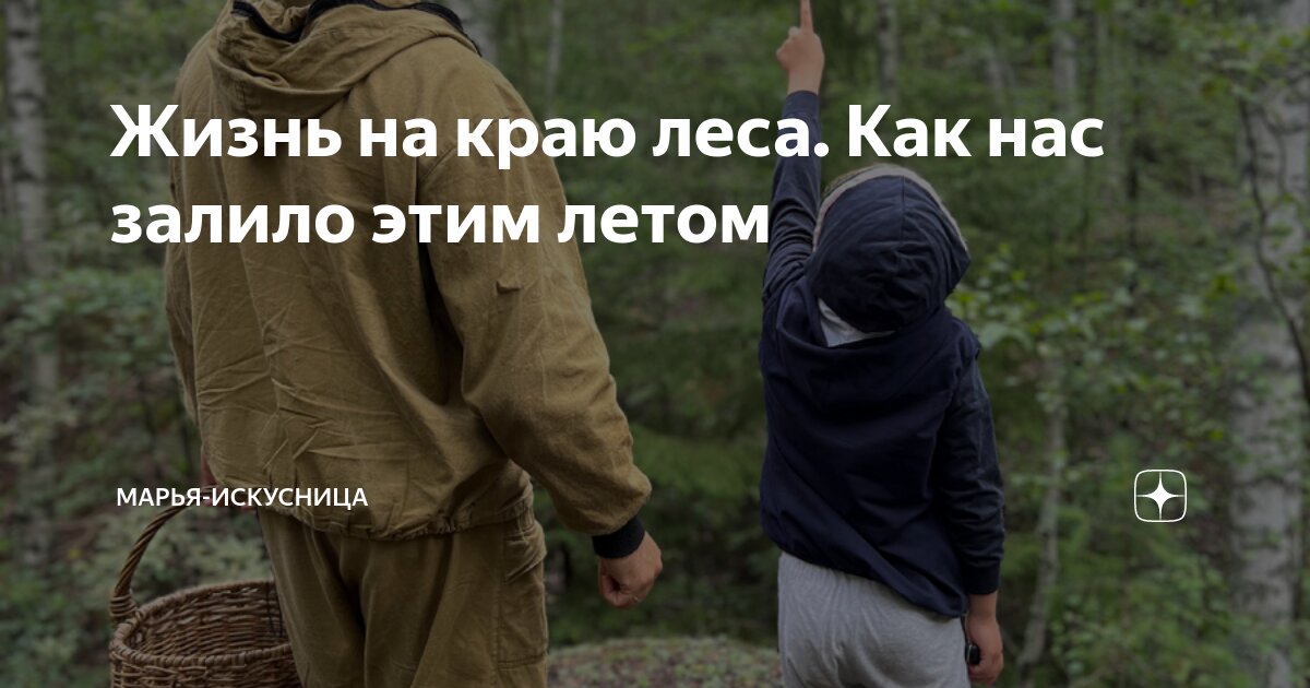 Жизнь на краю леса. Как нас залило этим летом | Марья-Искусница | Дзен