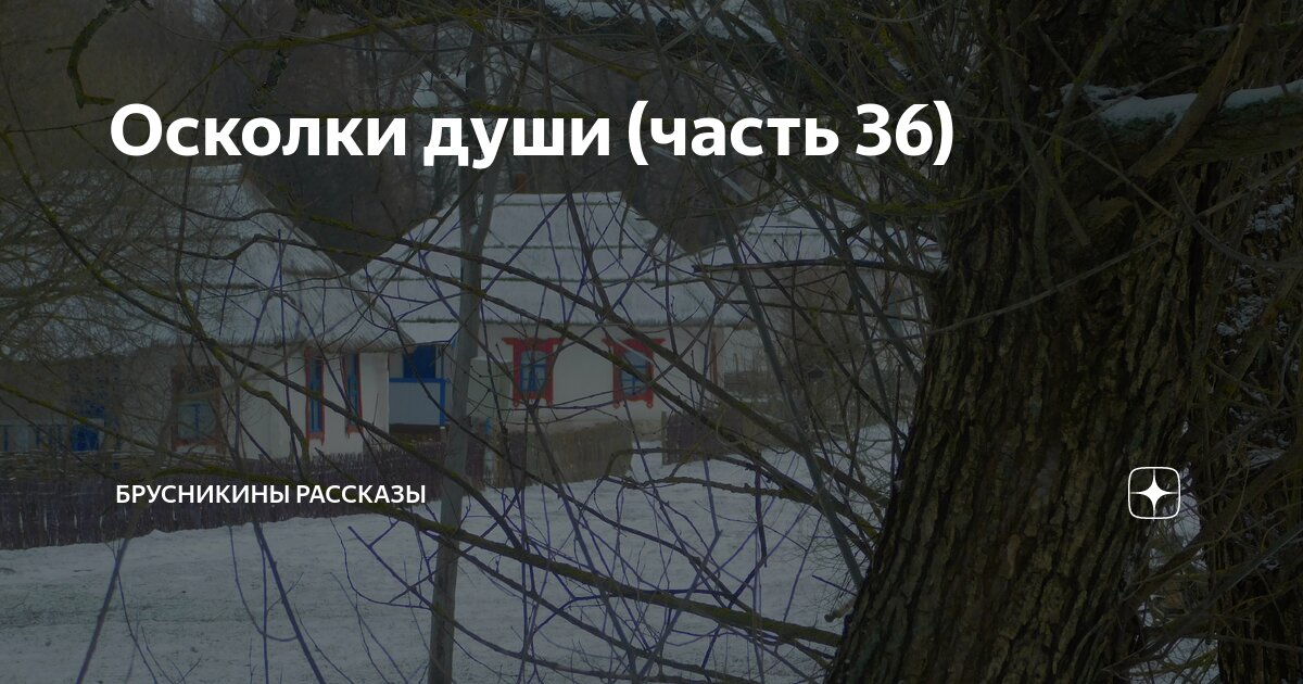 Осколки души (часть 36) | Брусникины рассказы | Дзен