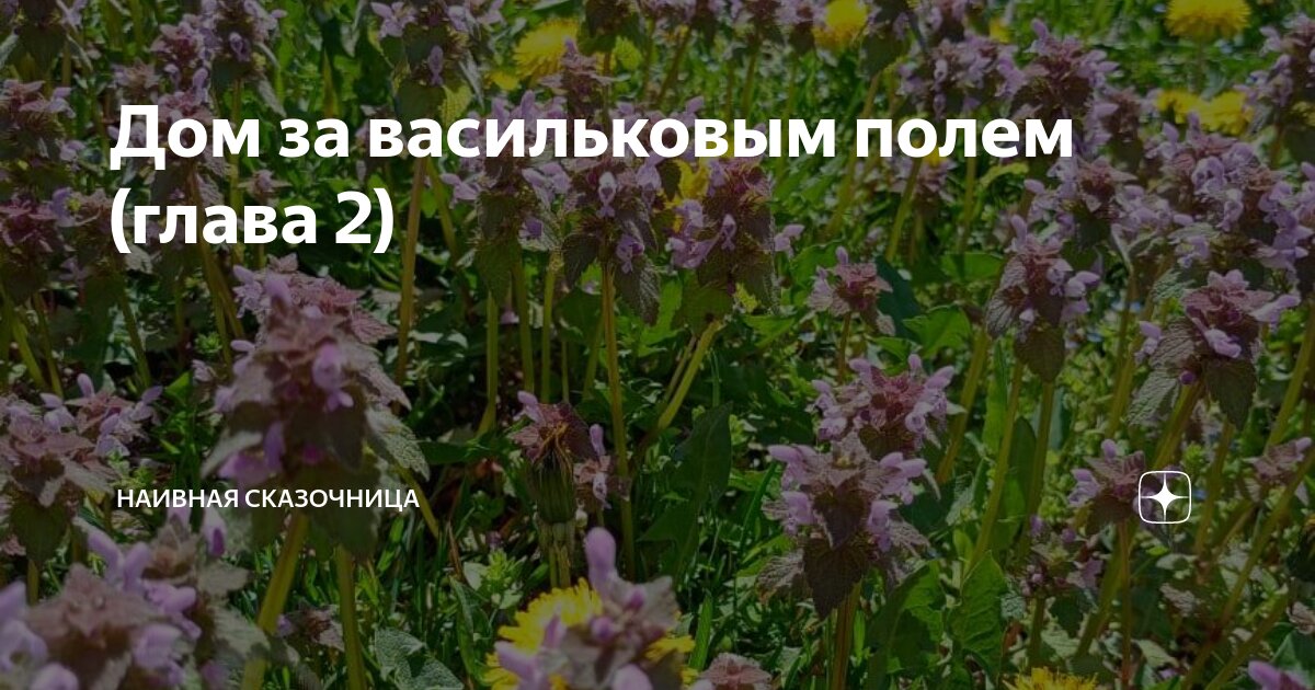 Дом за васильковым полем (глава 2) | Наивная сказочница | Дзен