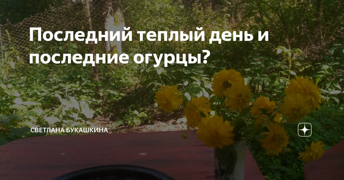 Последний теплый день и последние огурцы? | Светлана Букашкина: о ...