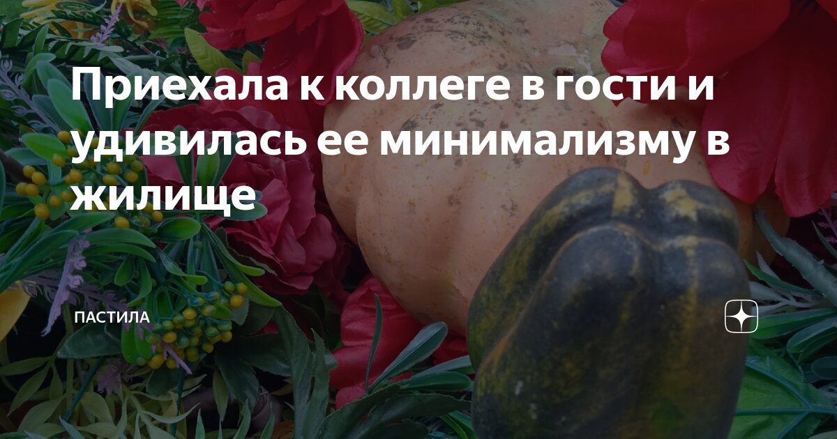 Приехала к коллеге в гости и удивилась ее минимализму в жилище ...