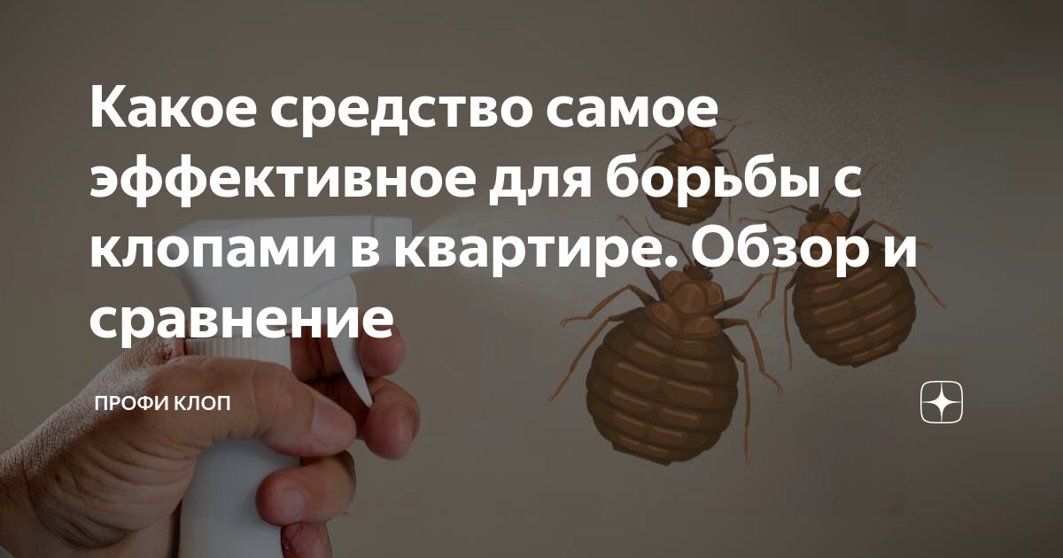 Какое средство самое эффективное для борьбы с клопами в квартире. Обзор ...