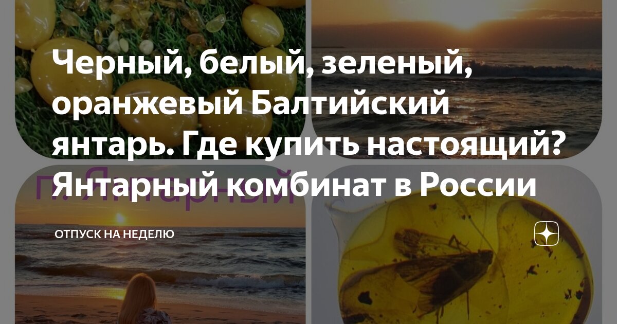 Черный, белый, зеленый, оранжевый Балтийский янтарь. Где купить ...