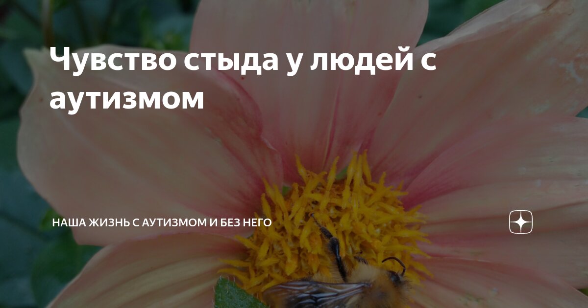 Чувство стыда у людей с аутизмом | Наша жизнь с аутизмом и без него | Дзен