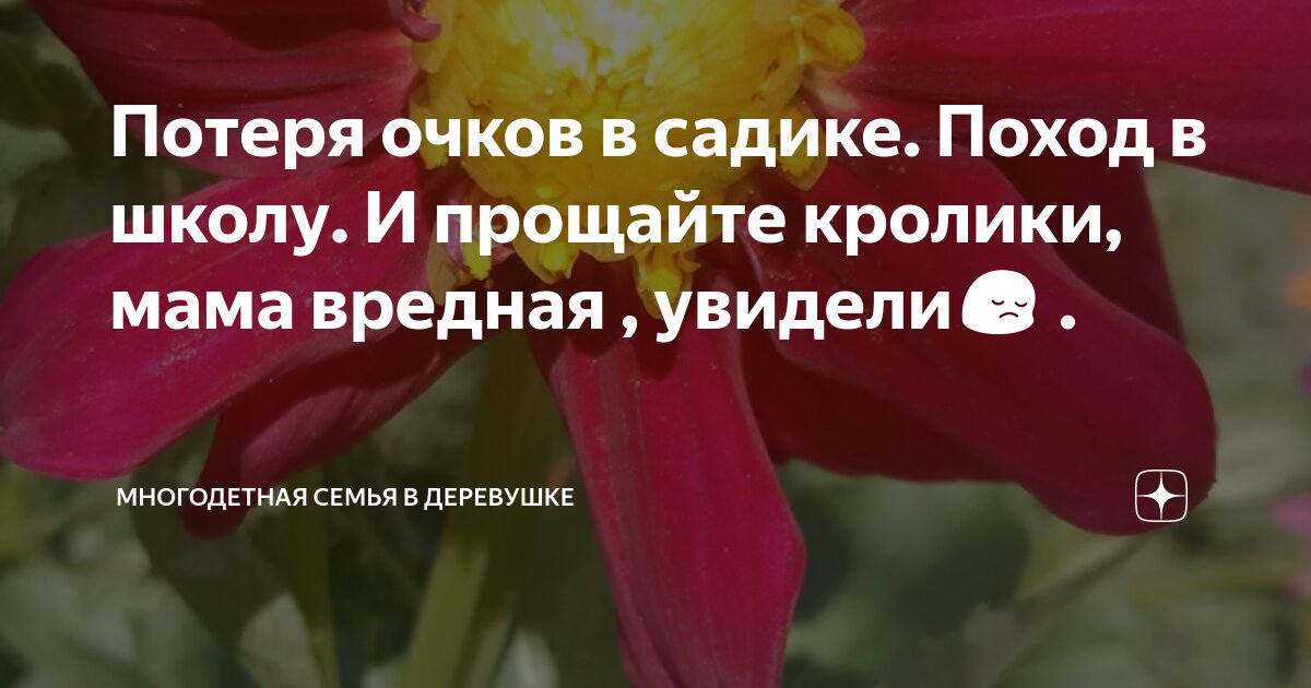 Потеря очков в садике. Поход в школу. И прощайте кролики, мама вредная ...