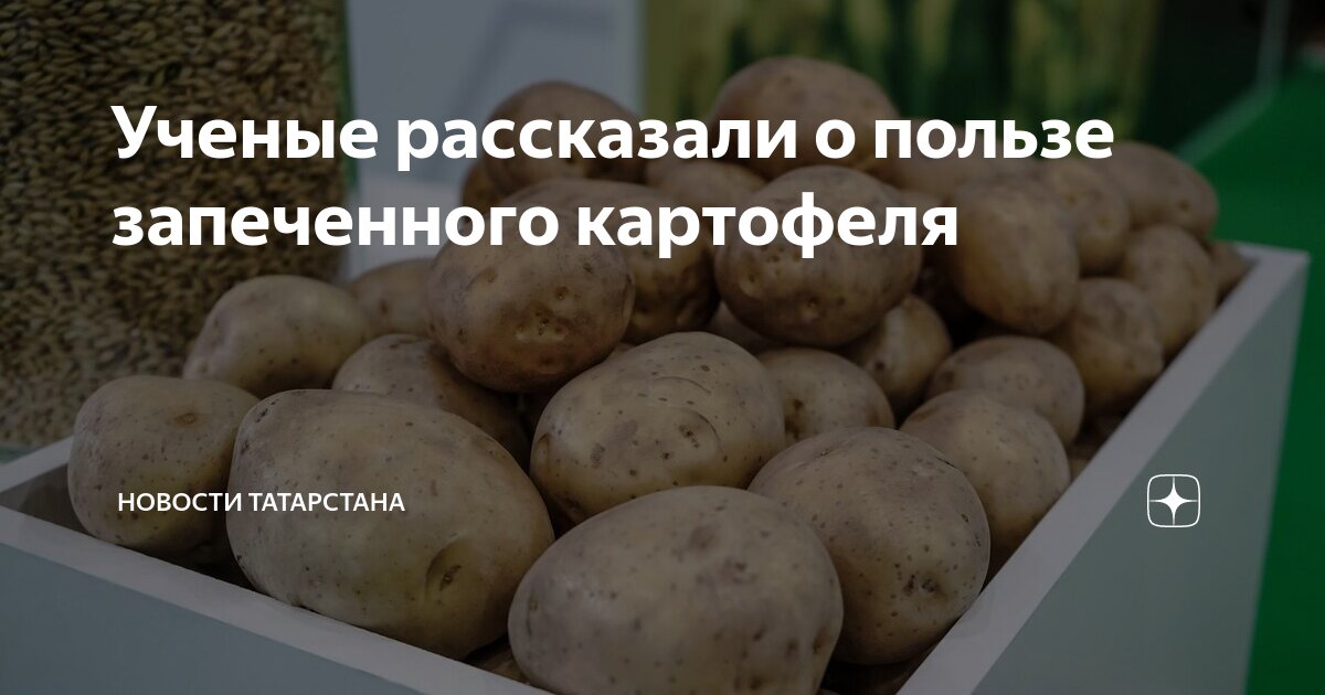 Холодильник для хранения картошки. Картофель заморозка. Вареная картошка в морозилке. Заморозки из картошки. Вареная мороженая картошка.