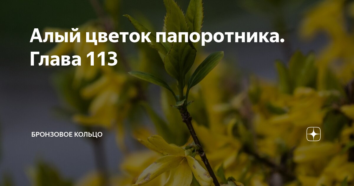 Алый цветок папоротника глава 112 бронзовое кольцо