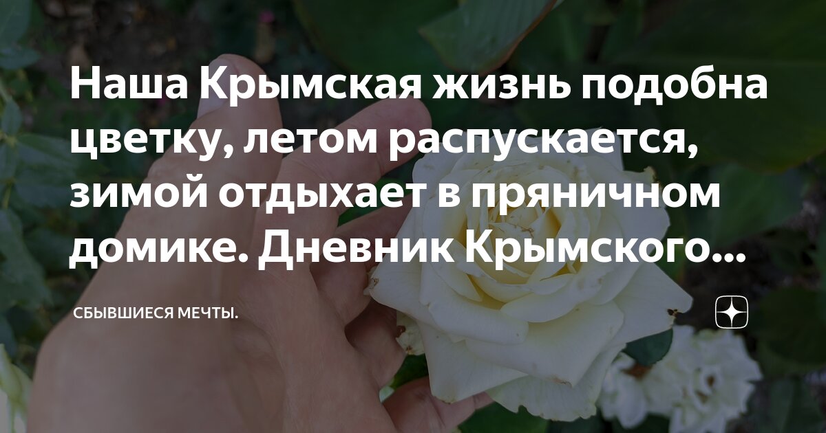 Наша Крымская жизнь подобна цветку, летом распускается, зимой отдыхает ...