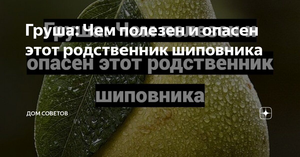 Сухофрукты яблоки и груши. Шиповник куст. Сухофрукты груша. Шиповник и груша. Шиповник иглистый плоды.