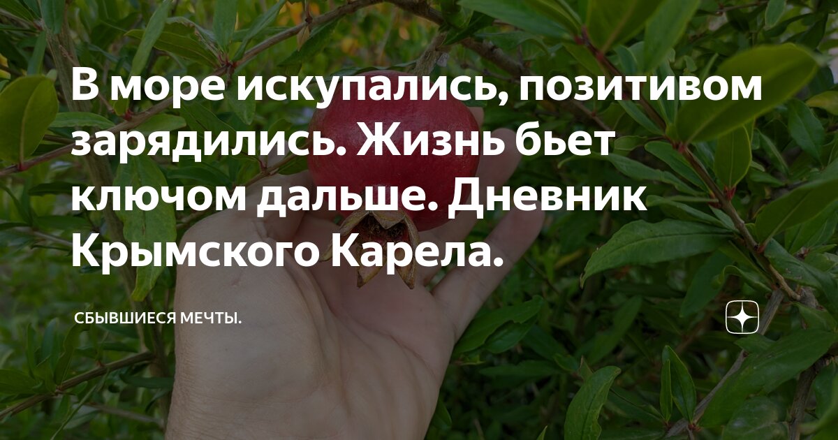В море искупались, позитивом зарядились. Жизнь бьет ключом дальше ...