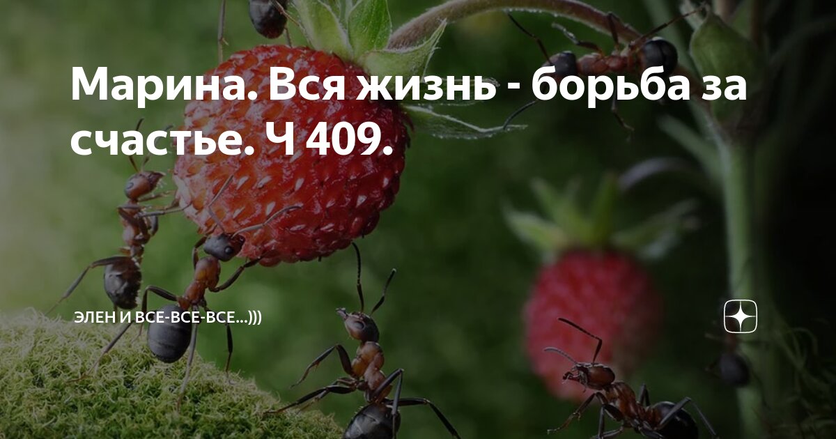 Марина. Вся жизнь - борьба за счастье. Ч 409. | Элен и все-все-все ...