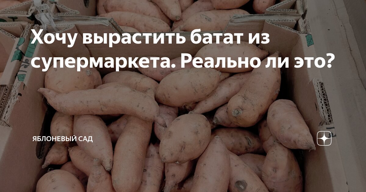 Как пожарить батат. Как пожарить батат