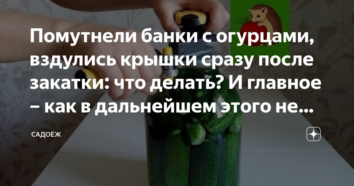 грибы в банке вздулись что делать