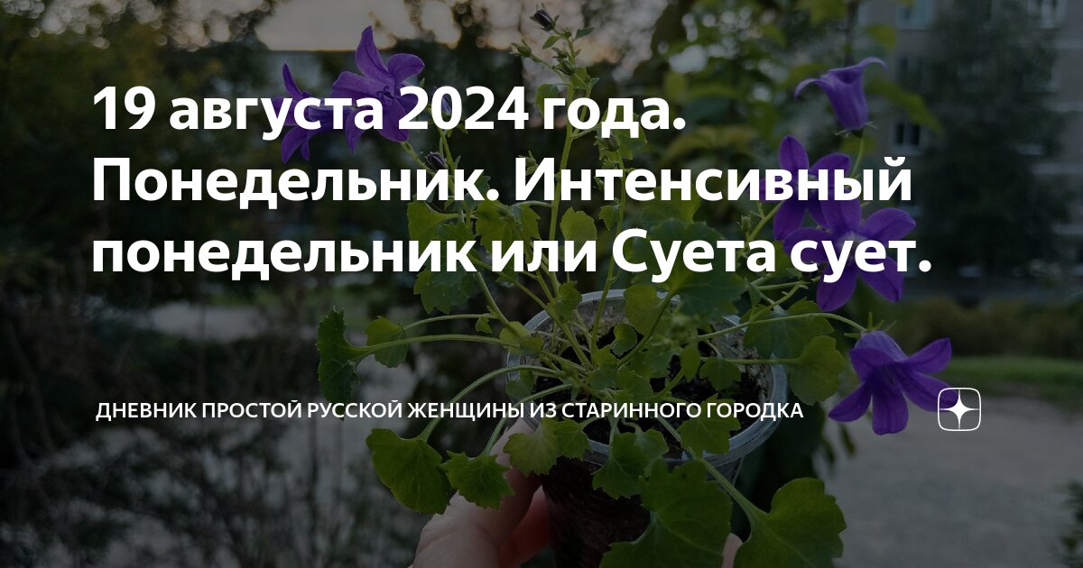 19 августа 2024 года. Понедельник. Интенсивный понедельник или Суета ...