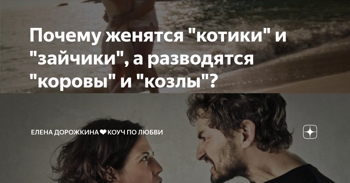 Помнят ли кошки, что они семья? Особенности памяти и восприятия родственных связ