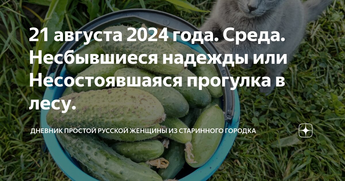 21 августа 2024 года. Среда. Несбывшиеся надежды или Несостоявшаяся ...