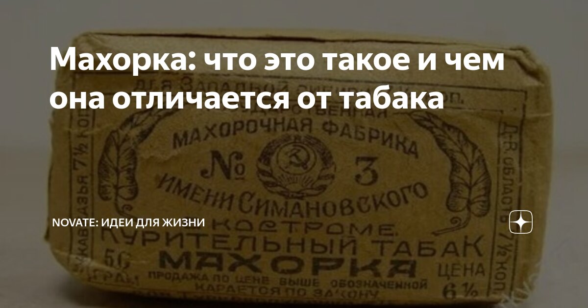 Махорка: что это такое и чем она отличается от табака | Novate: Идеи ...