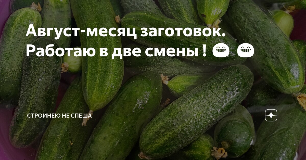 Август-месяц заготовок. Работаю в две смены ! 😁 😁 | Стройнею не спеша ...