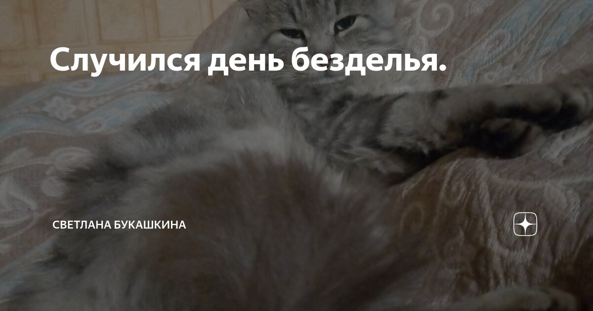 Случился день безделья. | Светлана Букашкина: загородная жизнь. | Дзен