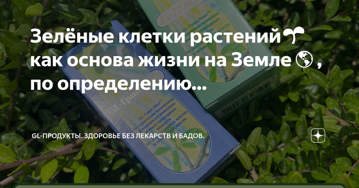 Будет содержать всю необходимую. Будет содержать всю необходимую