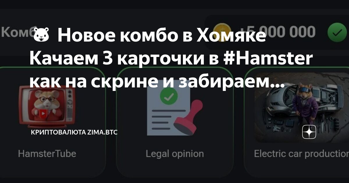 Комбо в хомяке июля