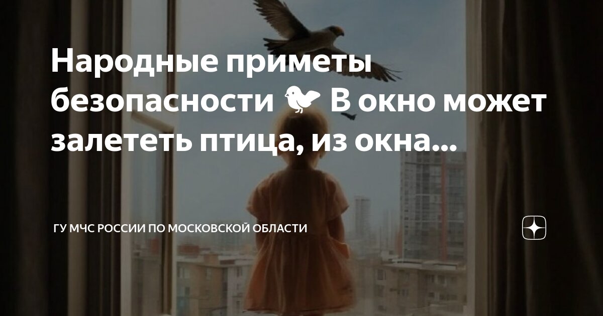 Если в дом залетела стрекоза к чему это. Насекомые которые залетают в окна. Стрекоза залетела в окно примета. Моль в доме примета. Стрекоза залетела на балкон примета.