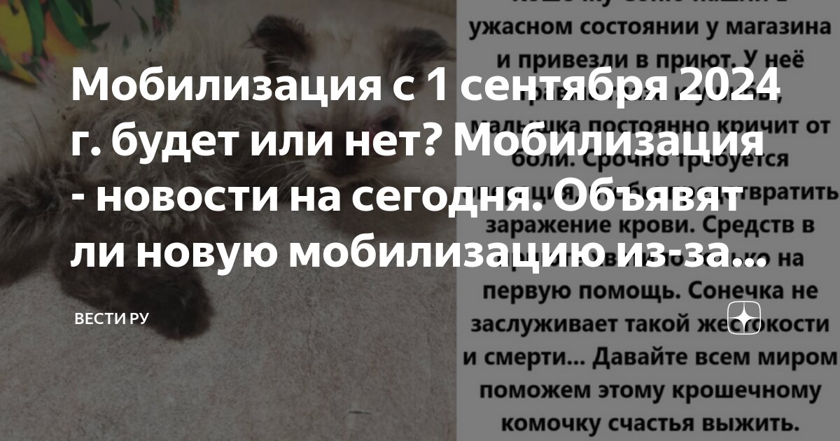Будет ли мобилизация в 2025г июль. Будет ли мобилизация в 2025г июль