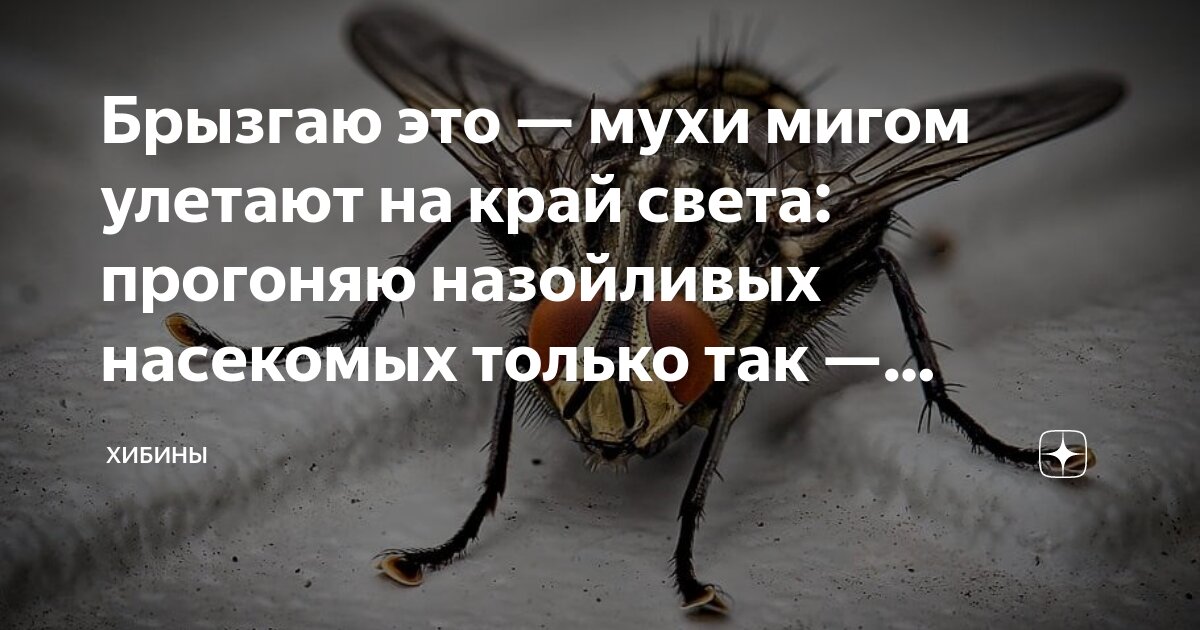 Масло от мух