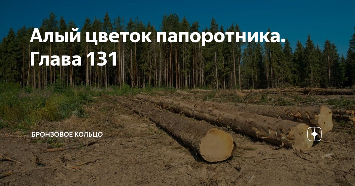 Алый цветок папоротника глава 112 бронзовое кольцо