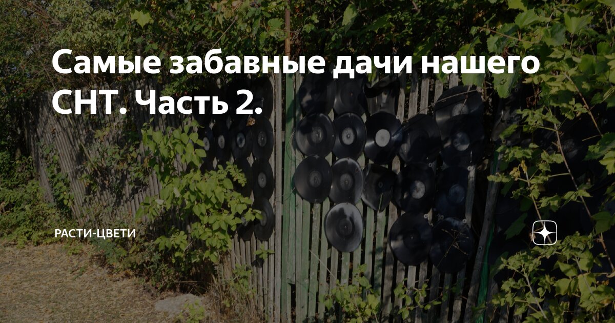 Самые забавные дачи нашего СНТ. Часть 2. | Расти-Цвети | Дзен