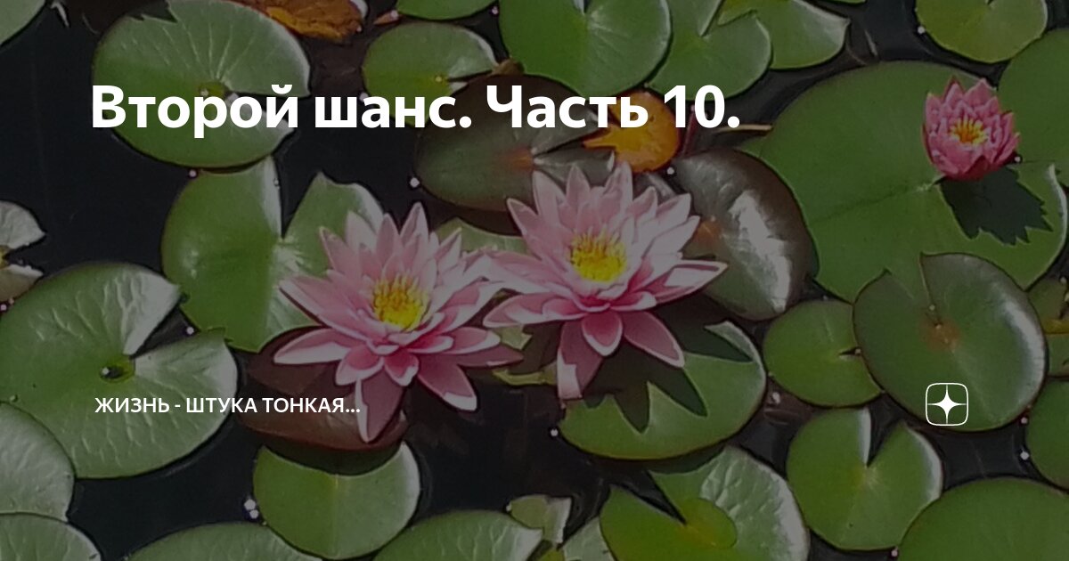 Второй шанс. Часть 10. | Жизнь - штука тонкая... Рассказы о любви ...