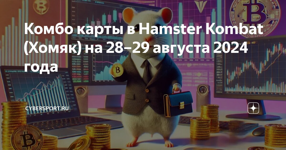 Хамстер комбо на 5. Хамстер комбо на 5