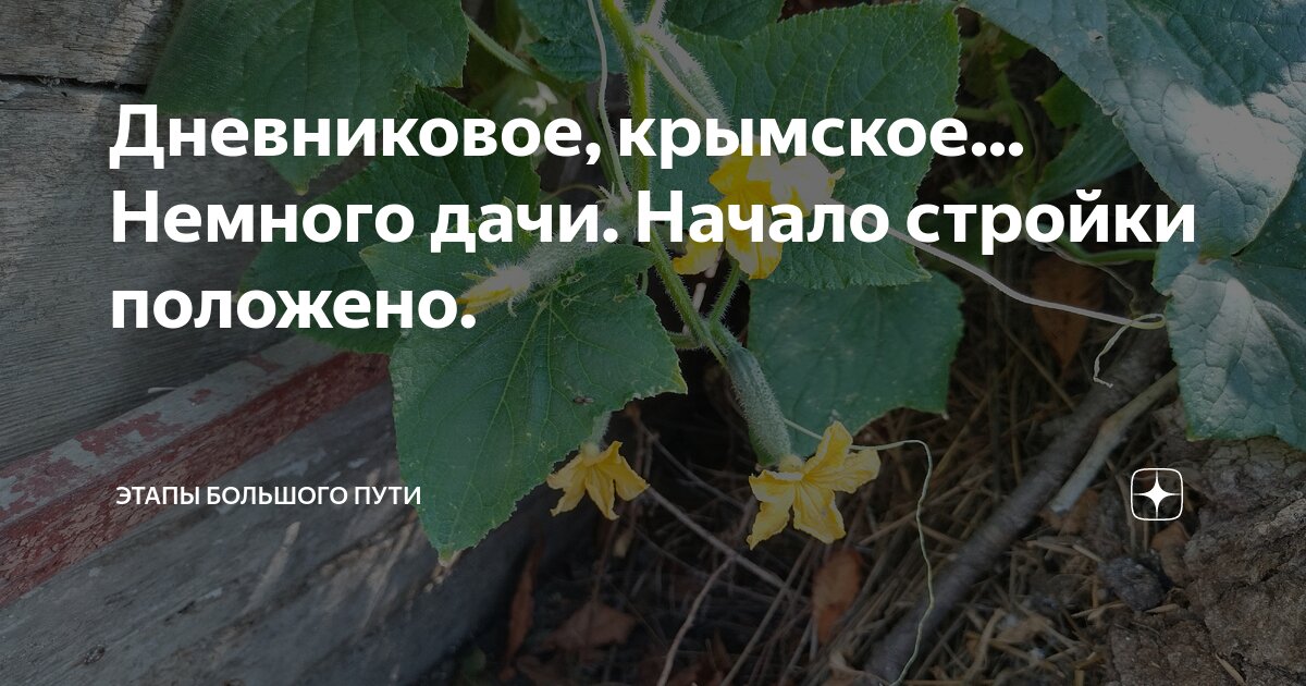 Дневниковое, крымское... Немного дачи. Начало стройки положено. | Этапы ...