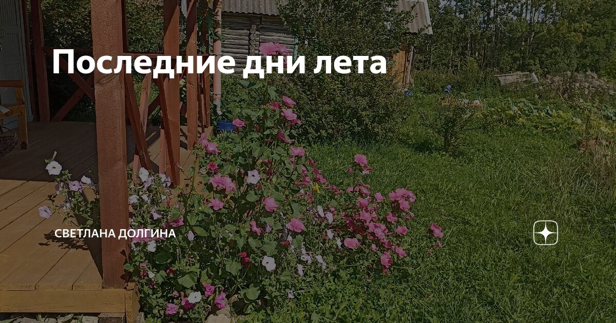 Последние дни лета | Светлана Долгина | Дзен
