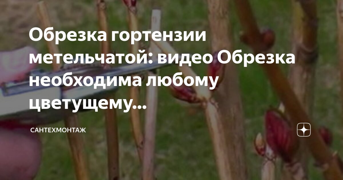 Как и когда обрезать видео. Как и когда обрезать видео