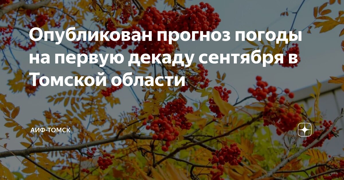 Погода на первую декаду июня. Прогноз погоды в москве. Погода на среду в москве. Погода в москве на первую декаду сентября. Погода в москве на первую декаду сентября.