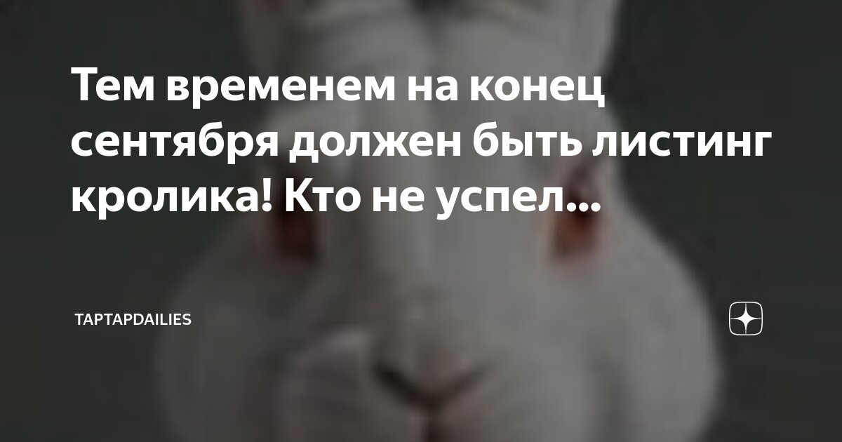 Комбо карты rabbit