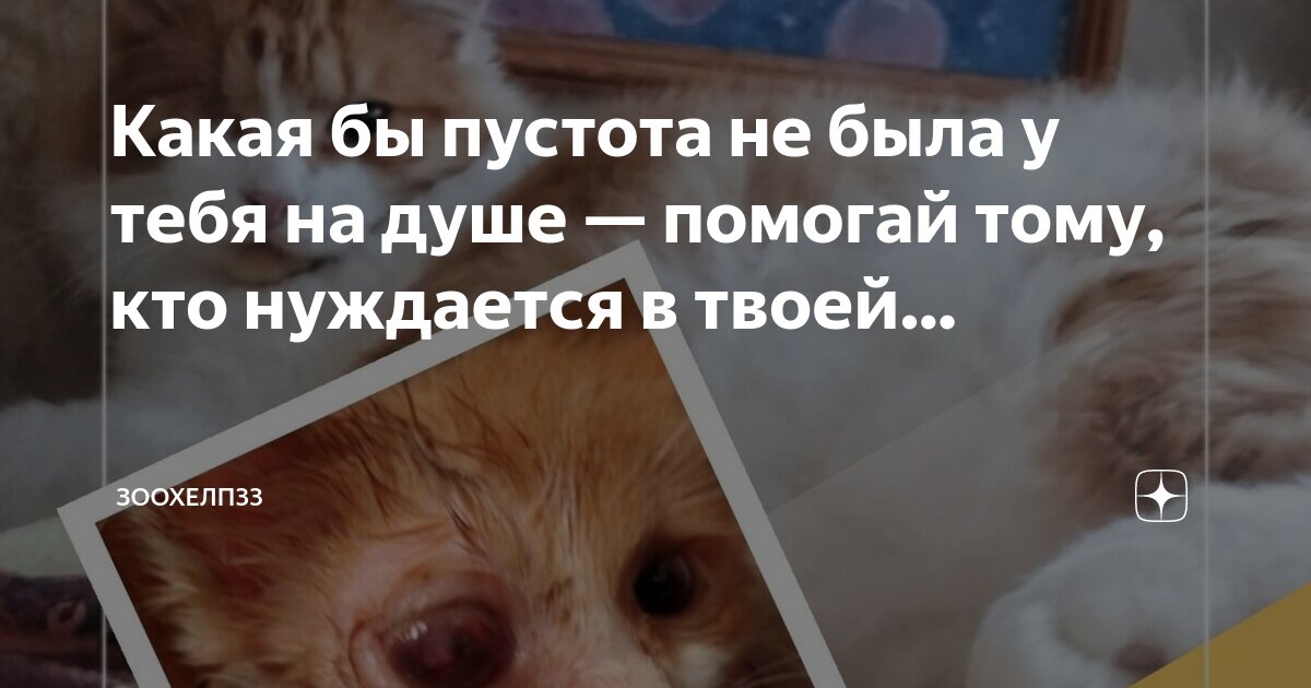 Если бы у тебя был. Если бы у тебя был