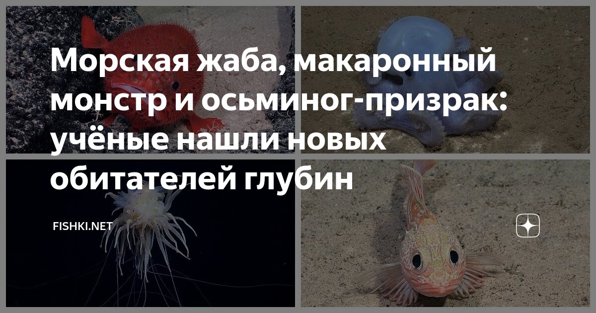 В чем измеряется глубина моря. Как измеряют глубину океана. Формула нахождения давления. Глубина обрести. Как измерить глубину водоема.