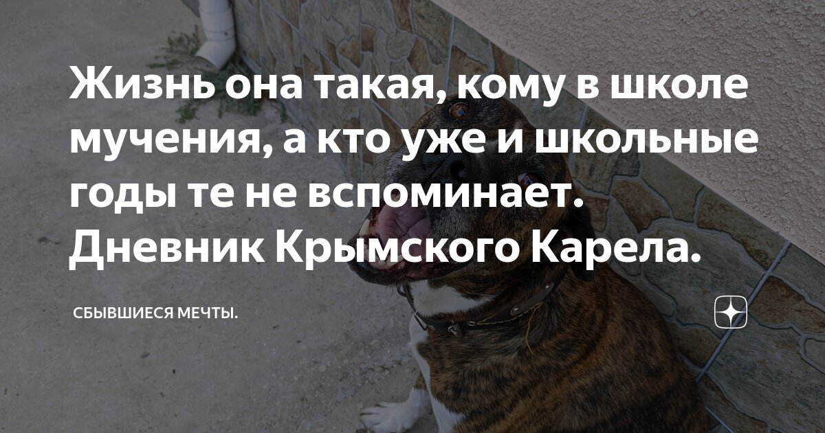 Жизнь она такая, кому в школе мучения, а кто уже и школьные годы те не ...
