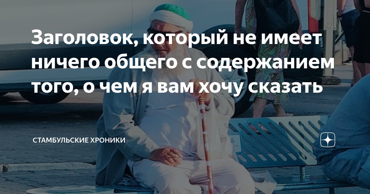 Иногда так хочется послать всех. Это я не то хотела сказать. Хитрые коты с надписями. Голубь так блэт. Красивые фразы.
