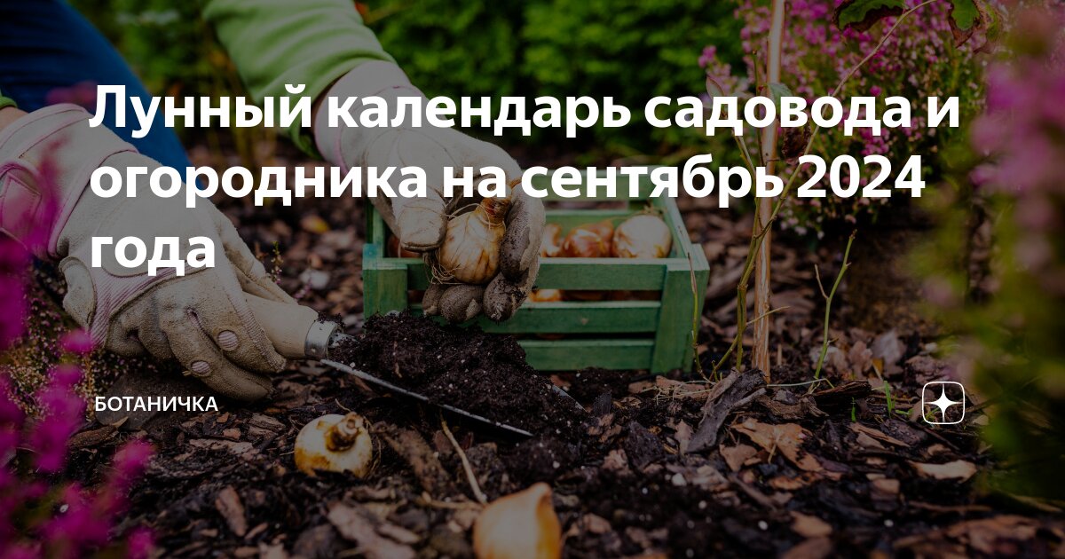 Календарь садовода огородника на урале 2025. Календарь садовода огородника на урале 2025