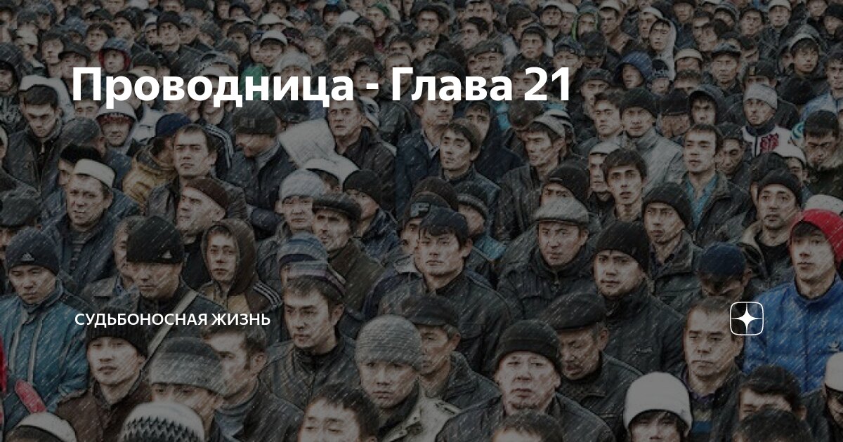 Котик просит. До них уже кто. Кот среди пингвинов. Кулинария юмор. До них уже кто.