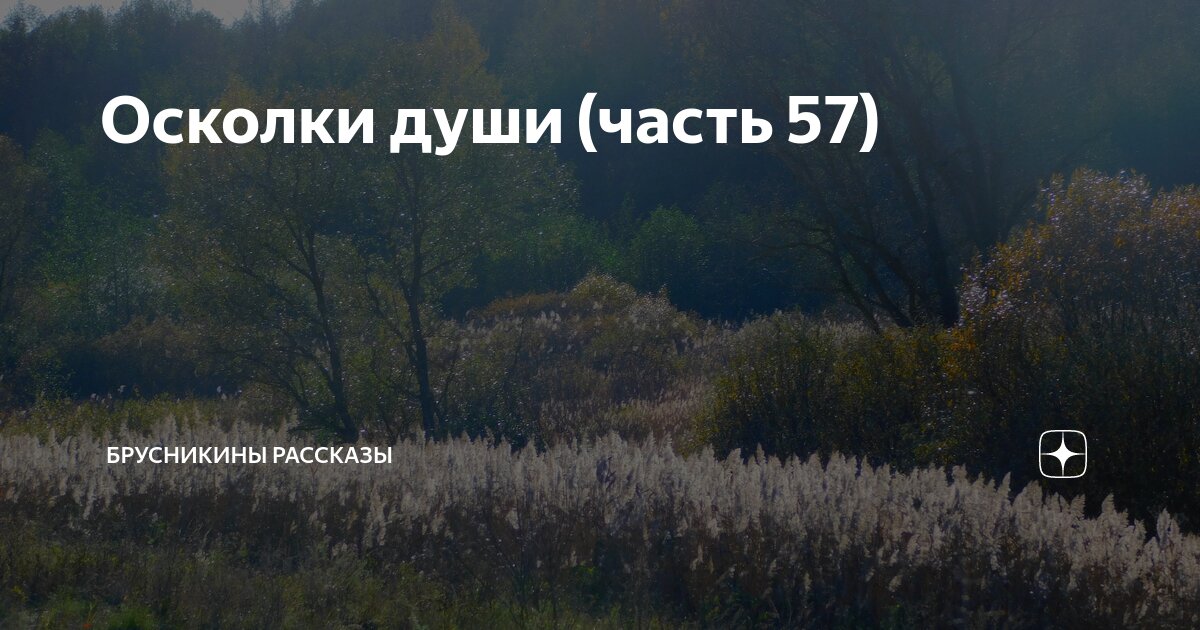 Осколки души (часть 57) | Брусникины рассказы | Дзен