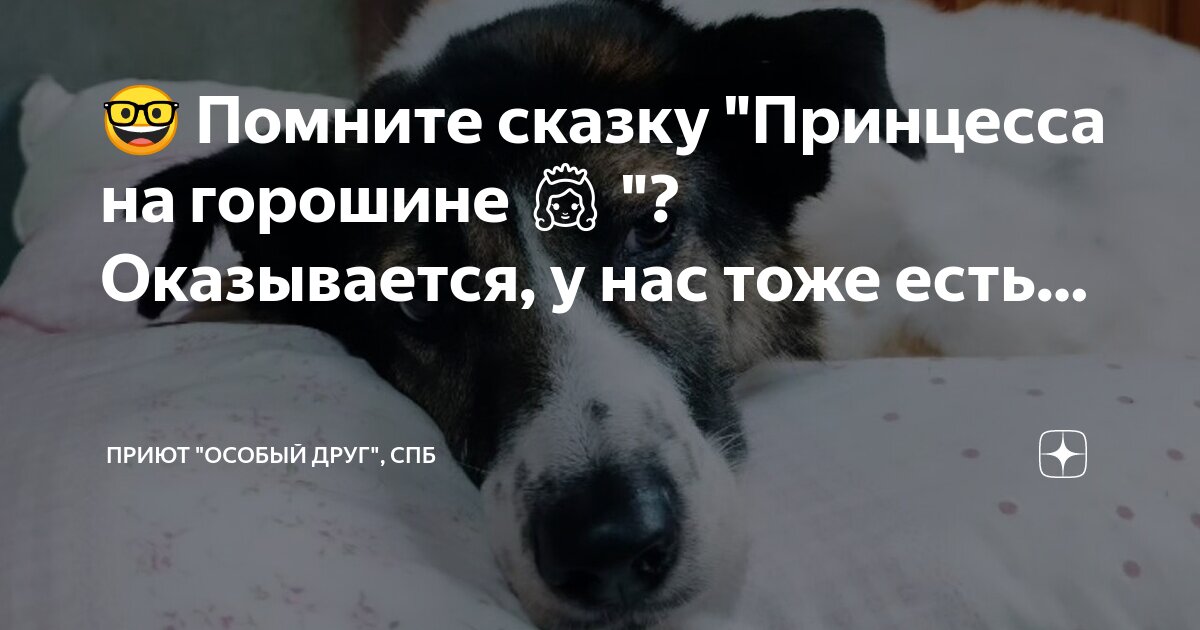 Я ведь тоже человек. Пущай полетает цитата. У меня новогодние скидки скидываю лишних людей из жизни. Цитаты из советских мультфильмов. Фразы из мультфильмов.