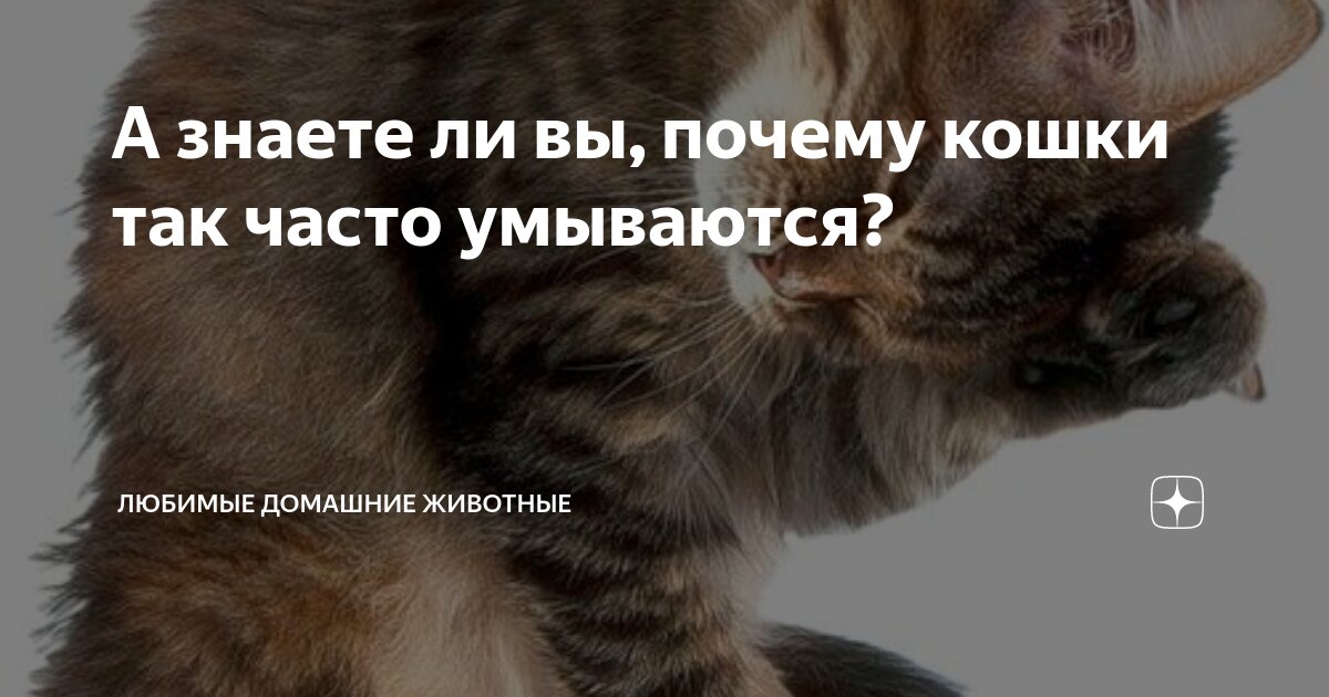 Я кофе заварю тебе покрепче. Ты мне сделал больно любимый человек. Знаю вы любите эту. Цитаты. Счастье это когда встречаешь человека.