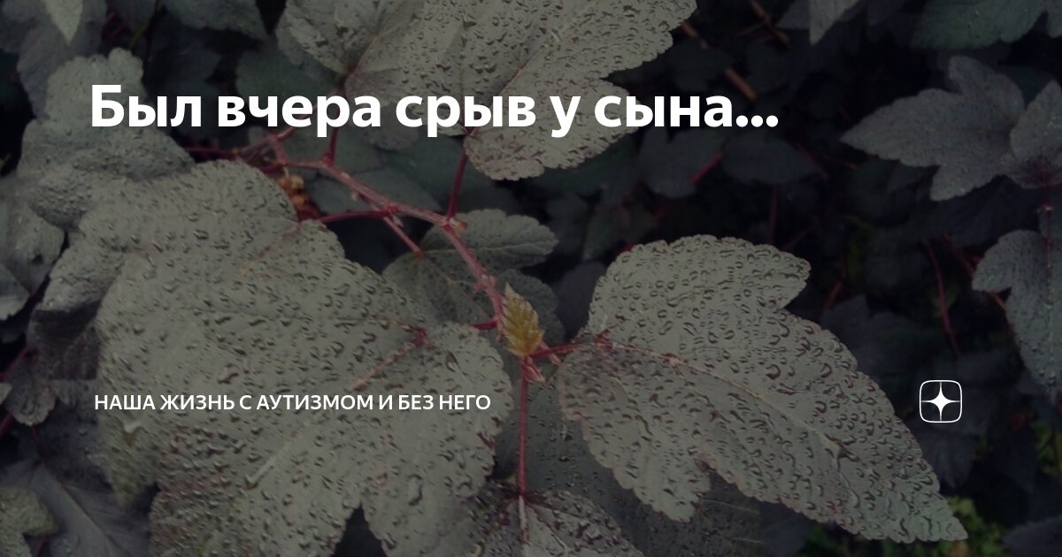 Был вчера срыв у сына... | Наша жизнь с аутизмом и без него | Дзен