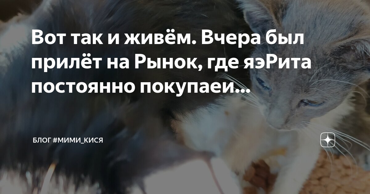 А где он живет то. А где он живет то