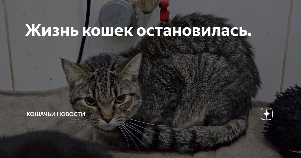Я все вижу. Злые вы уйду я от вас. Мемы для важных переговоров. Я же их не вижу. Заметно мем.
