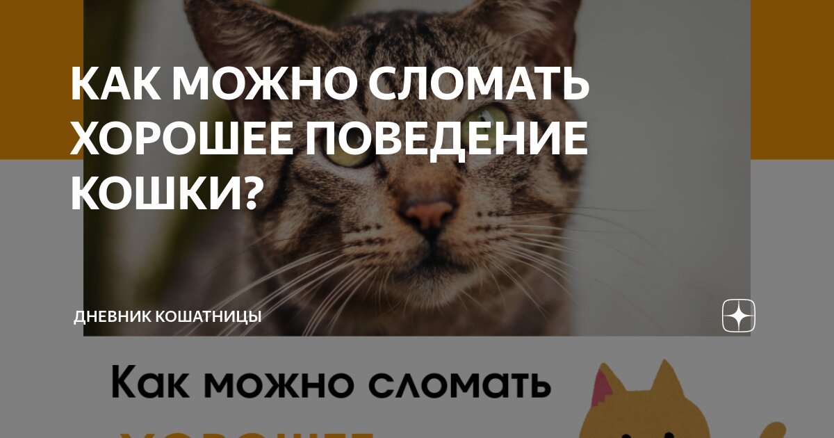 Так чтобы их можно было. Так чтобы их можно было